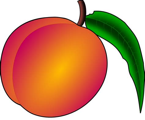 peach pictures|peach pictures clip art.